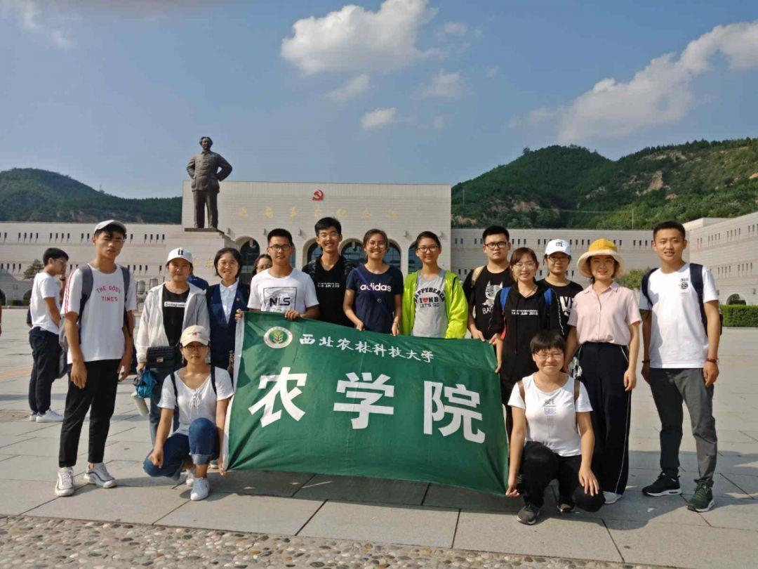寻梦环游记找吉他